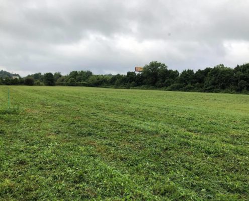 A green field after bush hogging services have been performed.