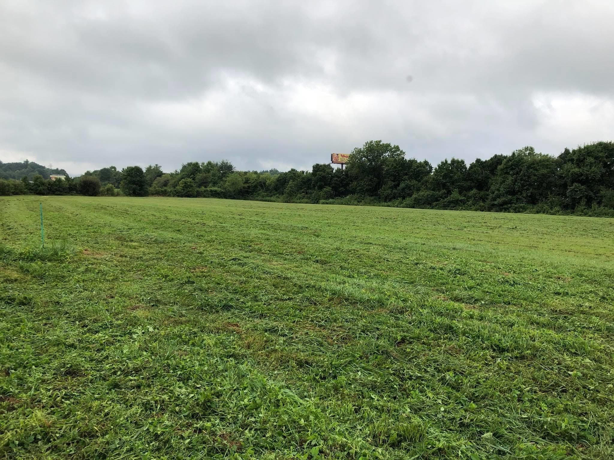 A green field after bush hogging services have been performed.